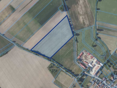 Działka| Dębina dz 50 | 3,56 ha