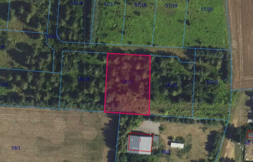 Działka| Cholewy dz 181/7 | 0,1967 ha