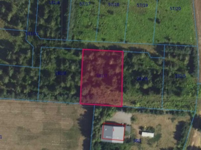 Działka| Cholewy dz 181/7 | 0,1967 ha