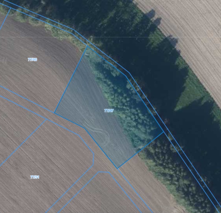 Działka | Łagiewniki dz. 77/47 | 0,3009 ha