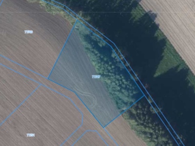 Działka | Łagiewniki dz. 77/47 | 0,3009 ha