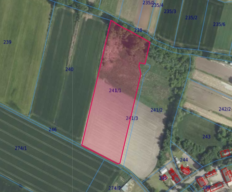 Działka| Brzezie dz 241/1 | 1,5066 ha