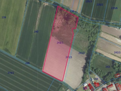 Działka| Brzezie dz 241/1 | 1,5066 ha