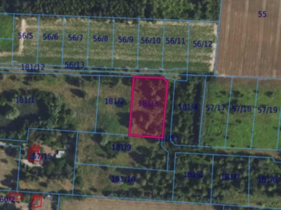 Działka| Cholewy dz 181/3 | 0,2140 ha