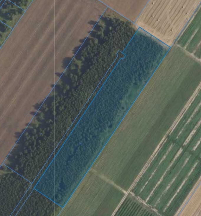 Działka| Kamienica dz 89/6 | 1,4000 ha