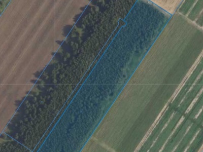 Działka| Kamienica dz 89/6 | 1,4000 ha
