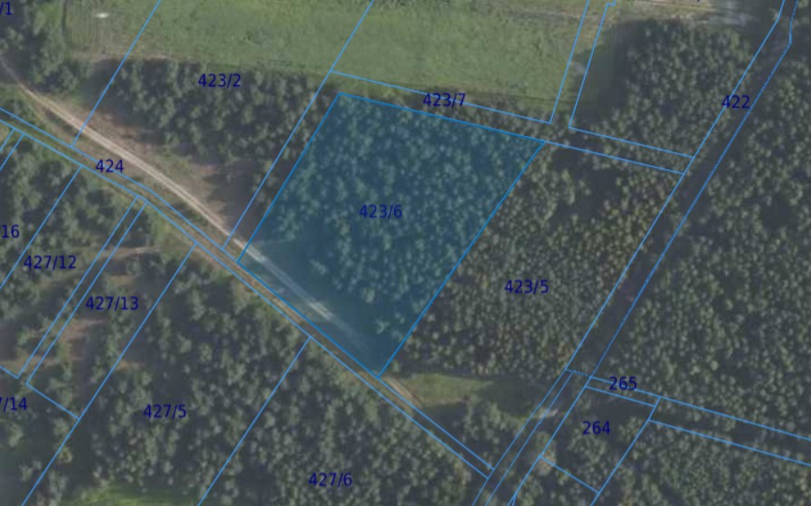 Działka| Grędzina dz 423/6 | 1,0026 ha
