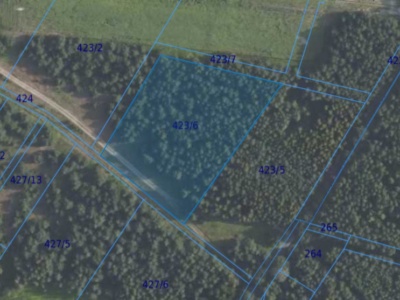 Działka| Grędzina dz 423/6 | 1,0026 ha