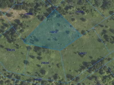 Działka| Dąbrowa dz 248/59 | 0,3209 ha