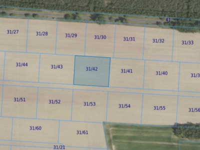 Działka| Grabowno Wielkie dz 31/42 | 0,3000 ha