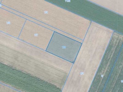 Działka | Rogalin dz. 7/8 | 0,3821 ha