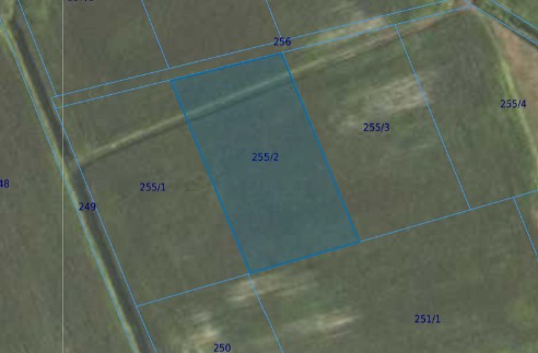 Działka| Grędzina dz 255/2 | 0,3501 ha