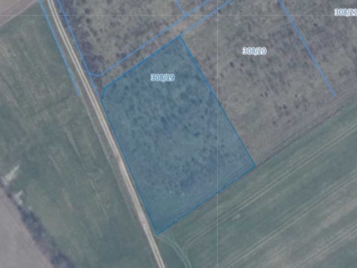 Działka | WARZNO dz. 308/19 | 0,3688 ha