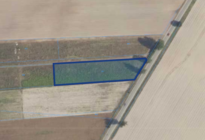 Działka | WYGODA  SMOSZEWSKA dz. 132/7 | 0,3581 ha