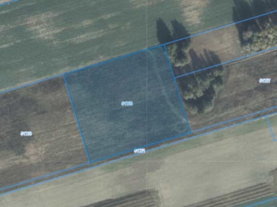 Działka | Wielonek dz. 517/8 | 1,1641 ha