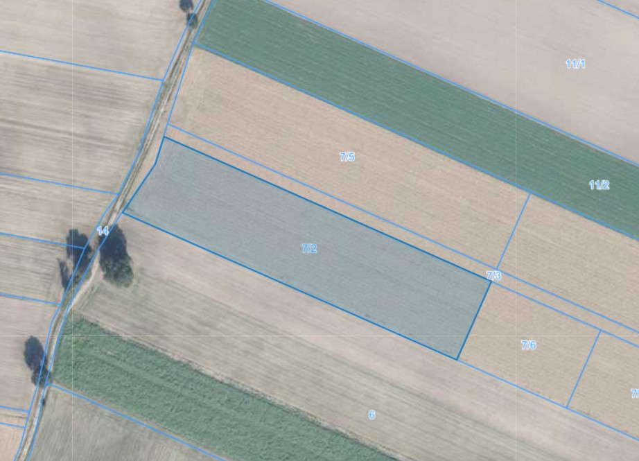 Działka | Rogalin dz. 7/2 | 1,1502 ha