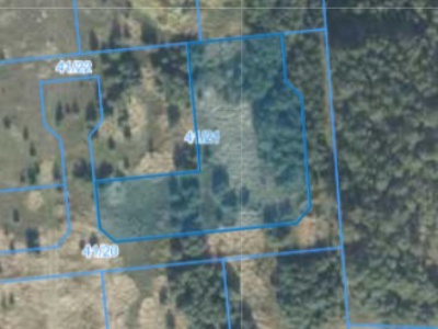 Działka | Rusiborek dz. 41/21 | 0.3064 ha