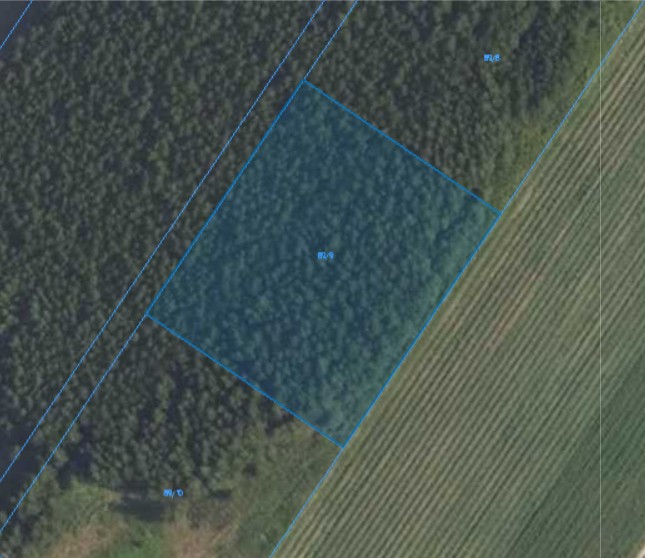 Działka| Kamienica dz 89/9 | 0,3000 ha