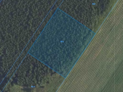 Działka| Kamienica dz 89/9 | 0,3000 ha