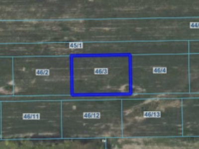 Działka | WOLA BŁĘDOWSKA dz. 46/3 | 0,3001 ha