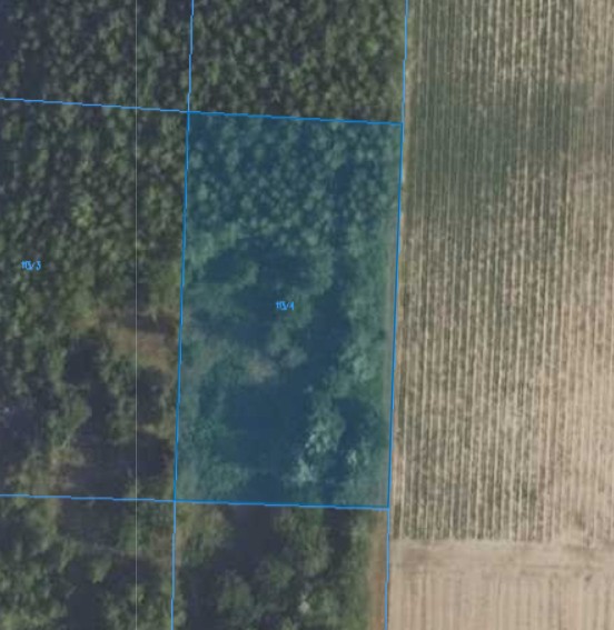 Działka | Naborowo dz. 113/4 | 0,3001 ha