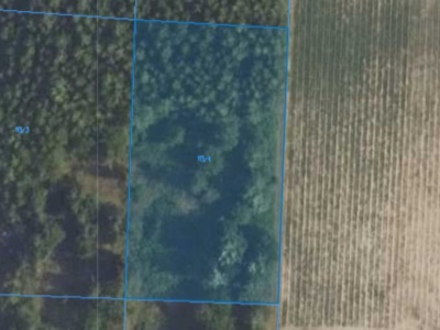 Działka | Naborowo dz. 113/4 | 0,3001 ha