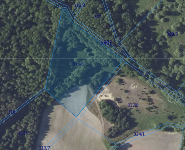 Działka| Chwałowice dz 313/6 | 1,4618 ha