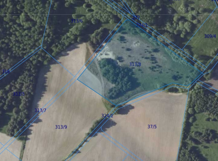 Działka| Chwałowice dz 313/8 | 1,6451 ha