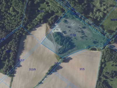 Działka| Chwałowice dz 313/8 | 1,6451 ha