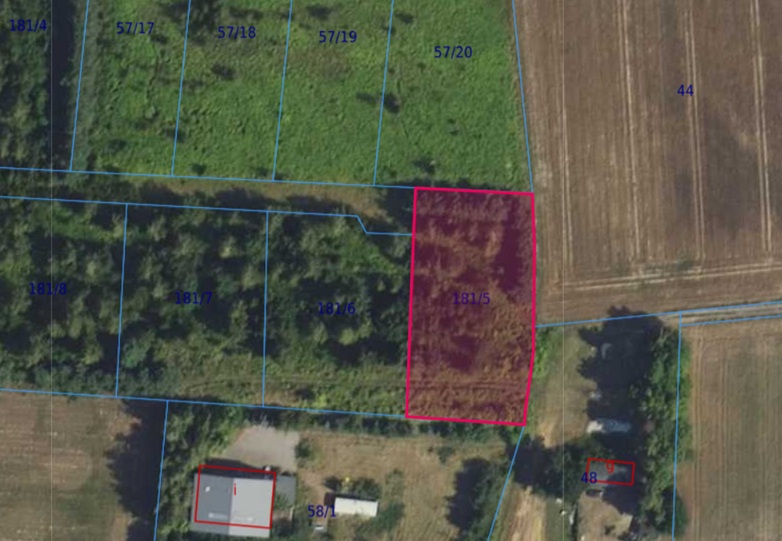 Działka| Cholewy dz 181/5 | 0,1961 ha