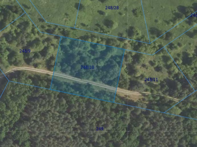 Działka| Dąbrowa dz 248/10 |  0,3009 ha