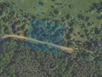 Działka| Dąbrowa dz 248/10 |  0,3009 ha