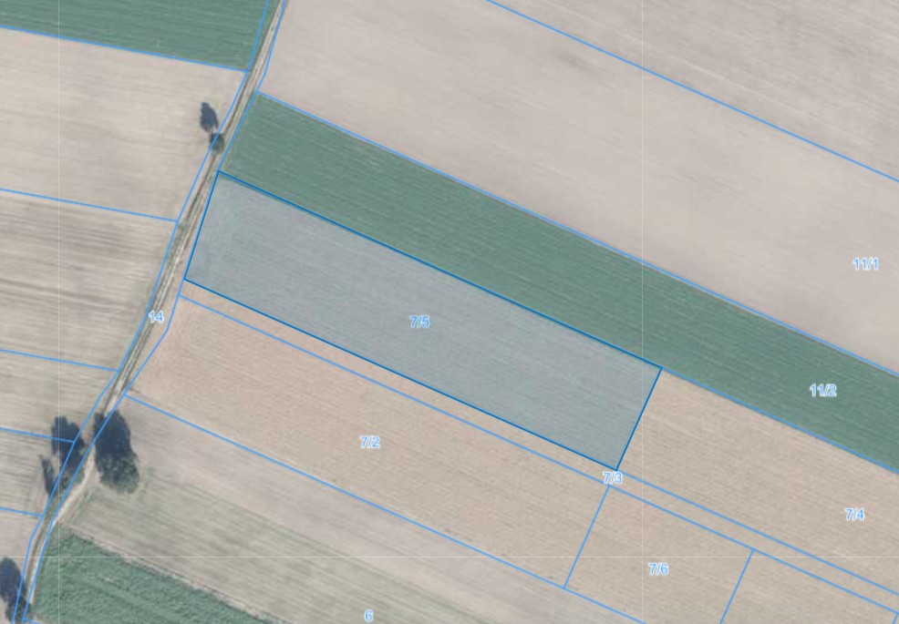 Działka | Rogalin dz. 7/5 | 1,1572ha