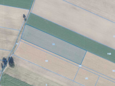 Działka | Rogalin dz. 7/5 | 1,1572ha