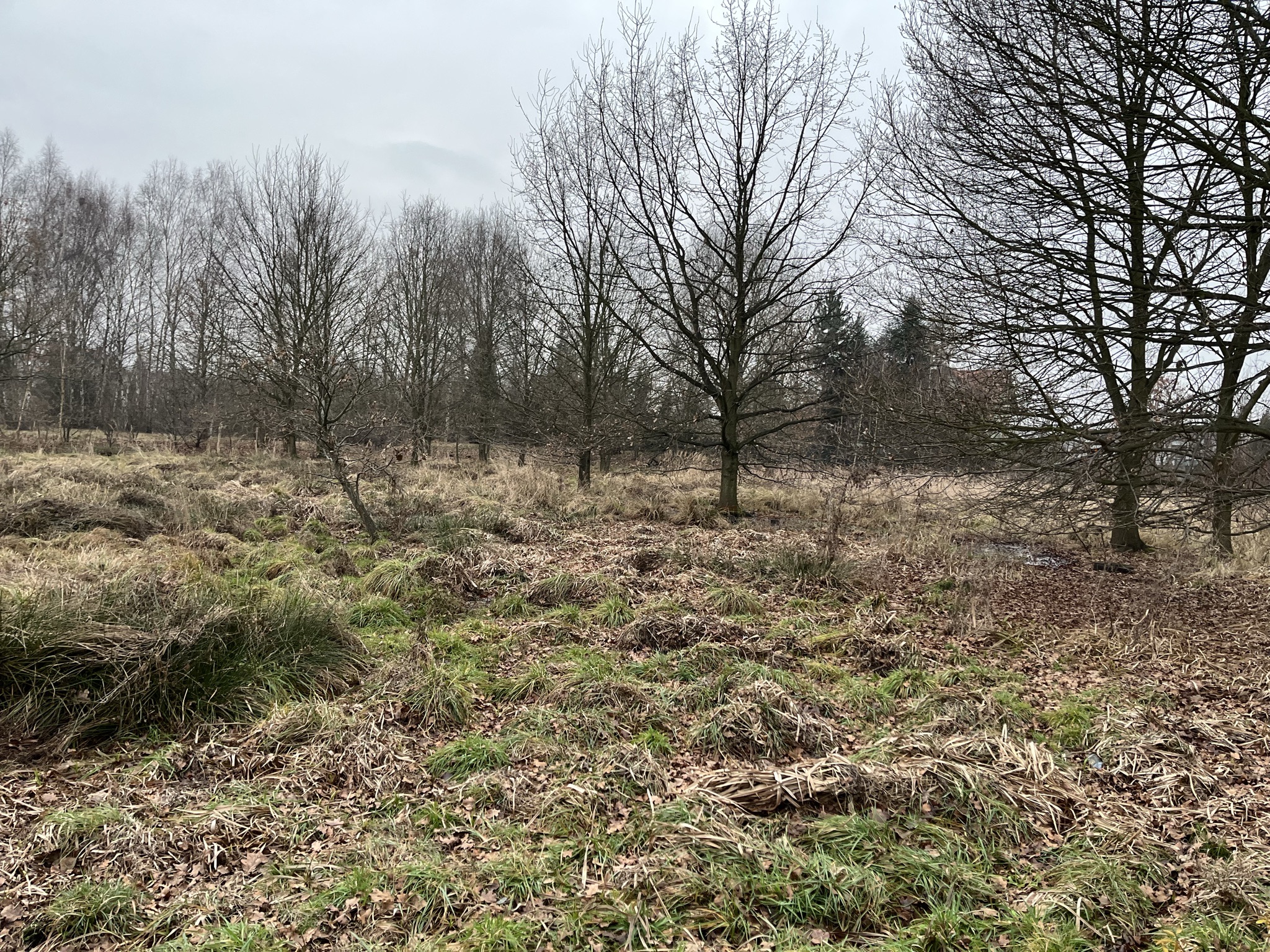 Działka | Katowice dz. 82/3 | 0,7217 ha