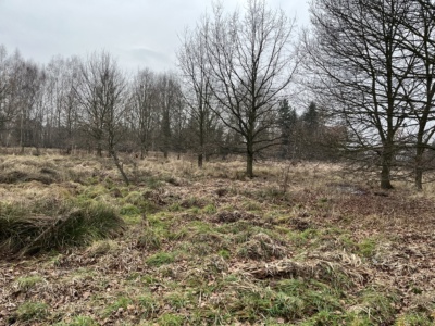 Działka | Katowice dz. 82/3 | 0,7217 ha