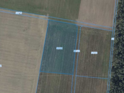 Działka | Nieszawa dz. 55/32 |  1,0582 ha