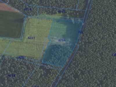 Działka| Grędzina dz 423/4 | 1,0032 ha