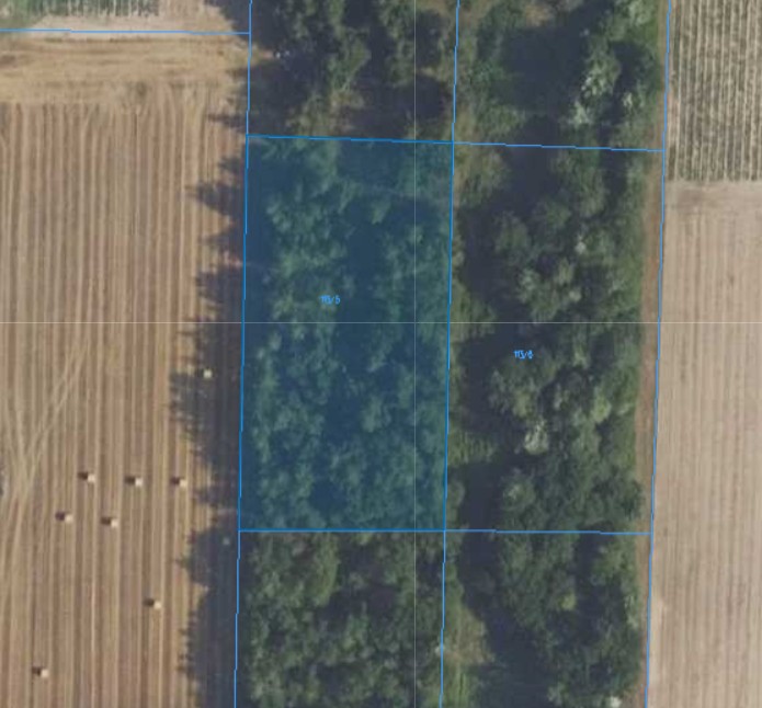 Działka | Naborowo dz. 113/5 | 0,3002 ha