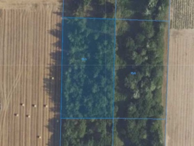 Działka | Naborowo dz. 113/5 | 0,3002 ha