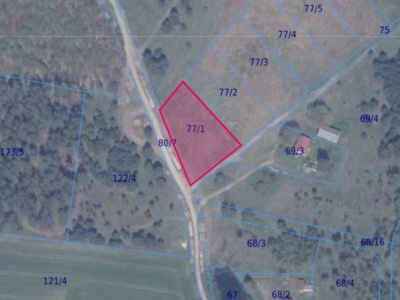 Działka | Błotnia dz. 77/1 | 0,3001 ha