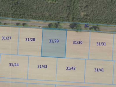 Działka| Grabowno Wielkie dz 31/29 | 0,3000 ha