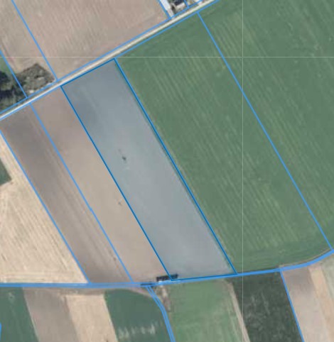 Działka | Podarzewo dz. 73 | 3,1598 ha