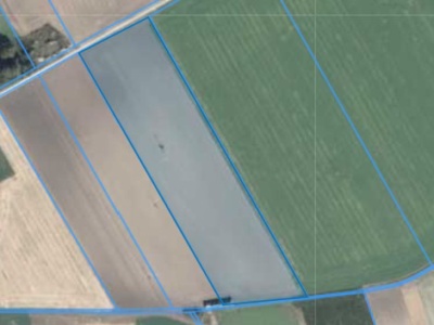 Działka | Podarzewo dz. 73 | 3,1598 ha