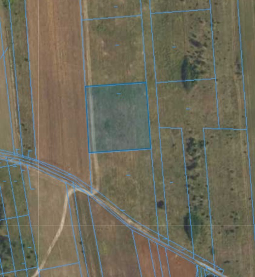 Działka | Augustówek dz. 316/8 | 0,3100 ha