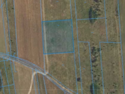 Działka | Augustówek dz. 316/8 | 0,3100 ha