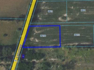 Działka | WOLA BŁĘDOWSKA dz. 46/10 | 0,3001 ha