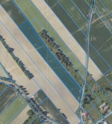 Działka | Łuczyna dz. 98/2 | 1,5386 ha
