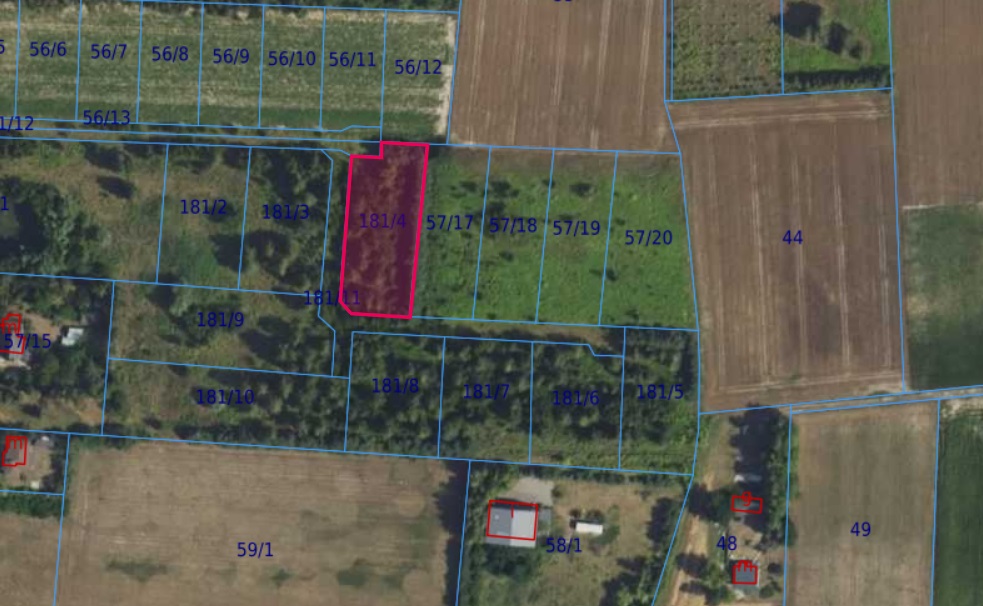 Działka | Cholewy dz. 181/4 | 0,2176 ha