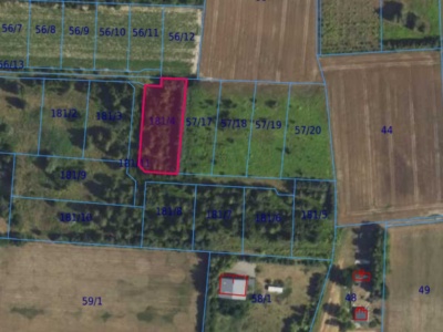 Działka | Cholewy dz. 181/4 | 0,2176 ha